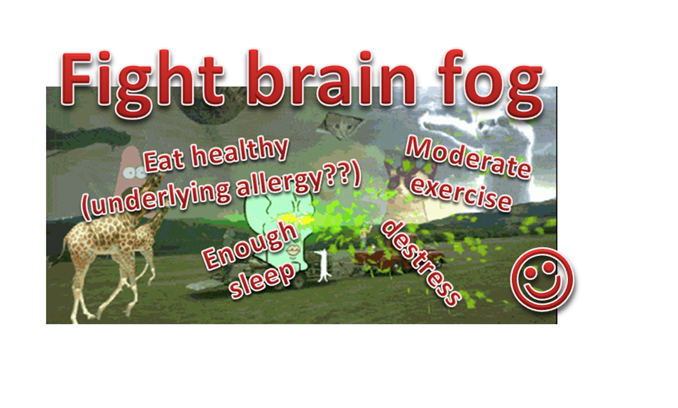 fight brain fog