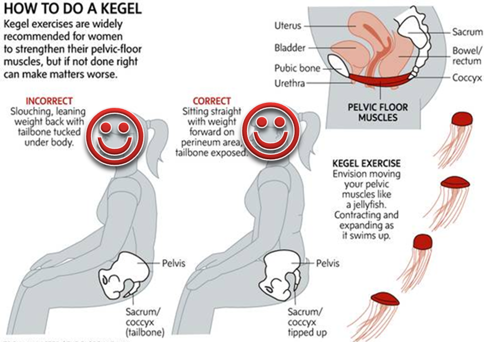 kegel pelvic floor squeeze exercise