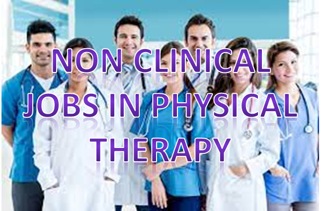 non clinical jobs in physical therapy from perplexity