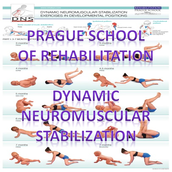 Prague School of Rehabilitation DNS Dynamic Neuromuscular Stabilization