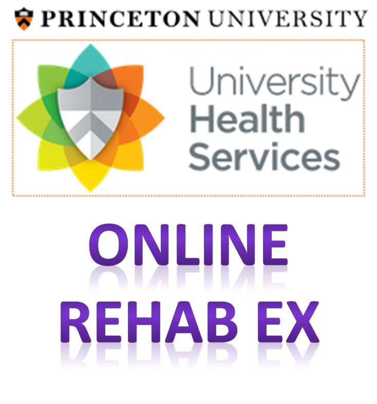 princeton university athletic medicine online rehab pdf exercise handouts