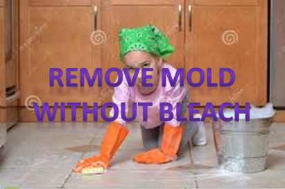remove mold without bleach natural clean
