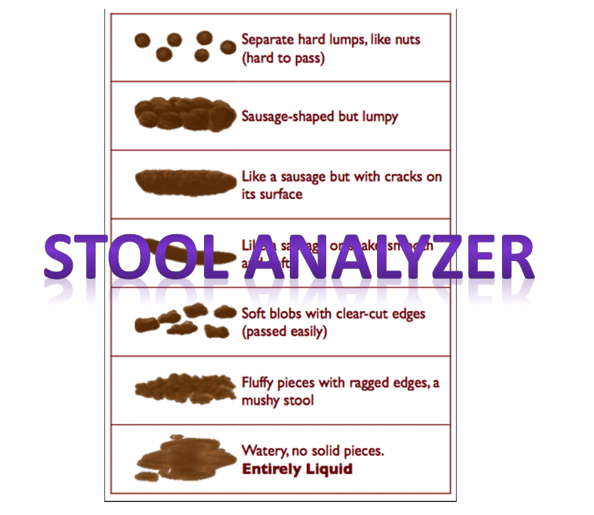 stool bowel movement analyzer