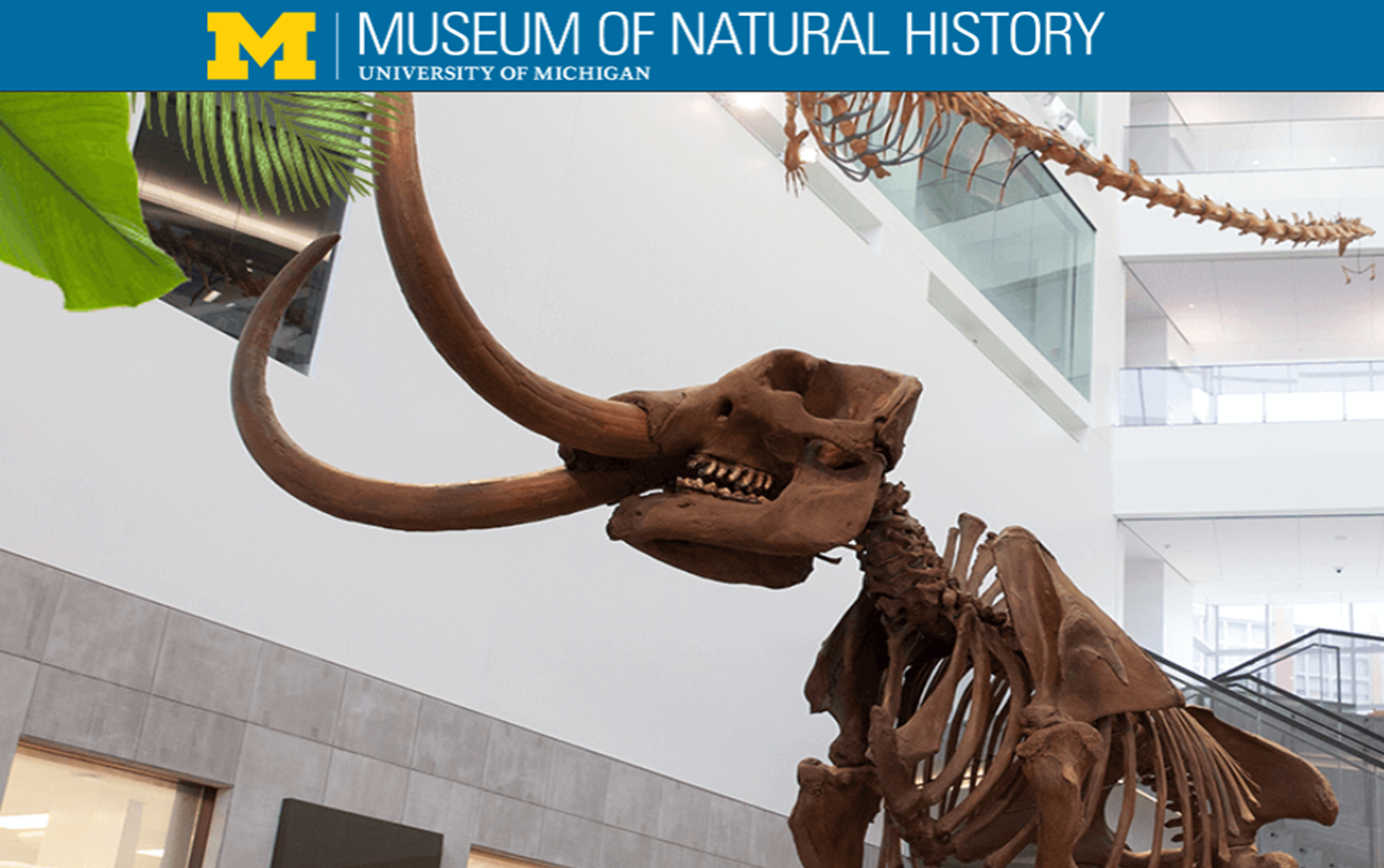 university of michigan museum of natural history ann arbor