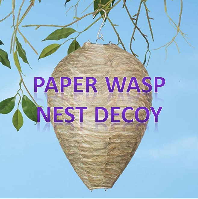 wasp decoy paper