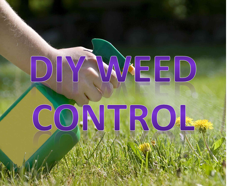 weed control spray diy