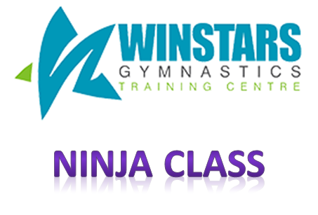windsor gymnastics ninja ocr obstacle training class