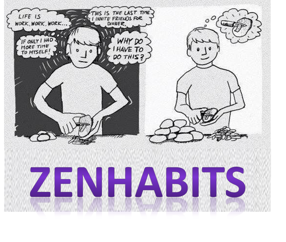 zen habits blog